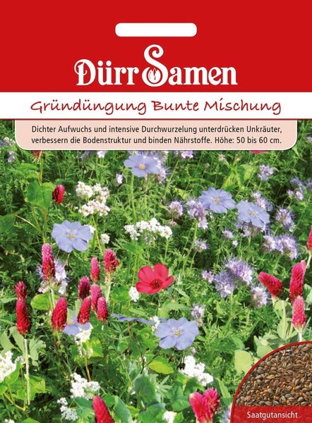Rückseite der Samentüte für Rittersporn King Arthur mit Aussaat- und Pflegehinweisen, sonnigem Standort und Blütezeit von Juni bis September.