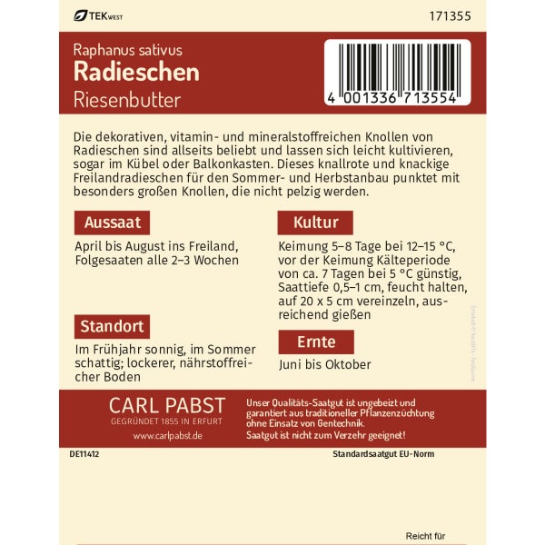 Radieschen rund & groß Riesenbutter Samen von Pabst Keimkraft
