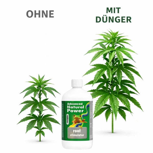 Vergleich des Pflanzenwachstums ohne und mit Advanced Natural Power Root Stimulator Wurzelstimulator.