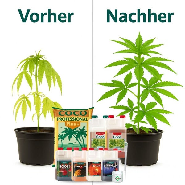 Vorher-Nachher-Vergleich einer Pflanze mit CANNA Coco Professional Plus sowie verschiedenen Düngemitteln und Zusätzen für gesundes Wachstum.