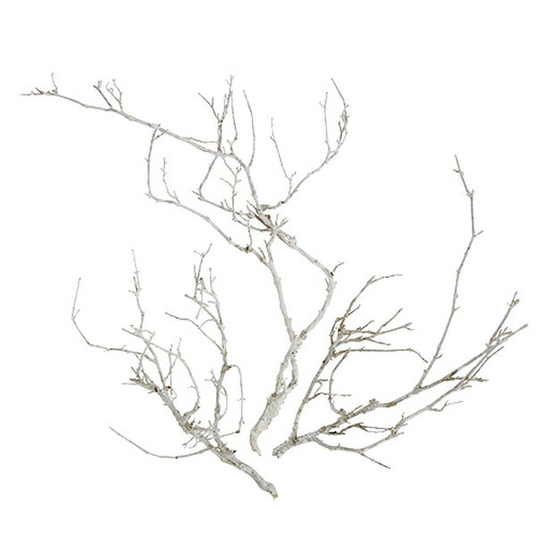 Weiße Dekozweige aus Naturmaterial für Vasen und florale Dekorationen.