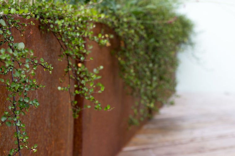 Grüne Pflanzen hängen über eine moderne Gartenwand aus rostbraunem Cortenstahl neben einer hellen Holzterrasse.