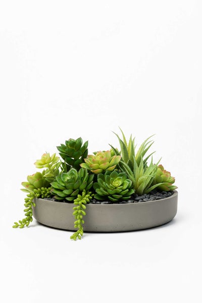 Arrangement aus grünen künstlichen Sukkulenten in einer flachen runden grauen Betonschale mit schwarzen Kieseln.