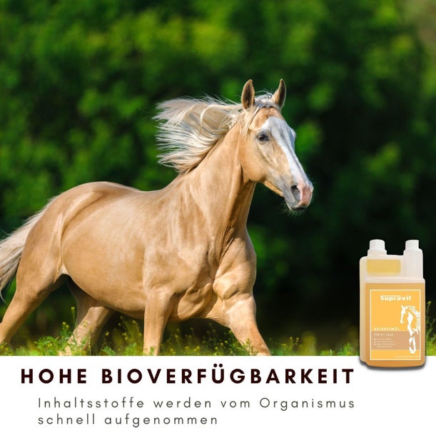 Ein laufendes Pferd und eine Flasche Reiskeimöl für Pferde von Supravit