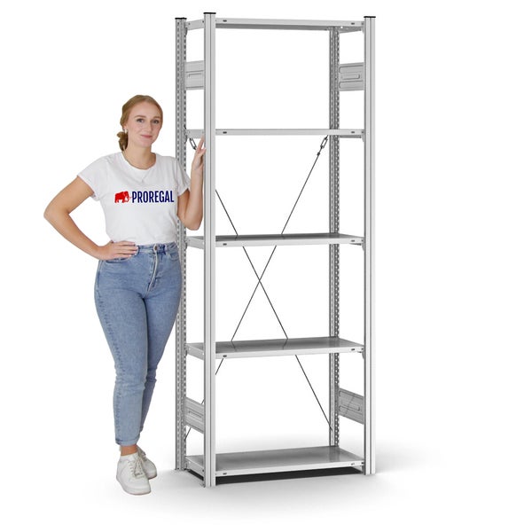 PROREGAL Profi Lagerregal Stecksystem T-Profil Grundregal HxBxT 200 x 75 x 30 cm Fachlast 125 kg Verzinkt