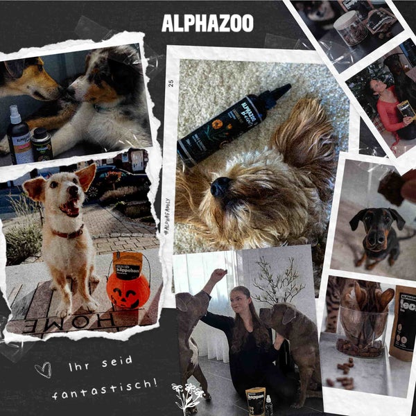 Collage mit Fotos von Hunden und AlphaZoo Produkten
