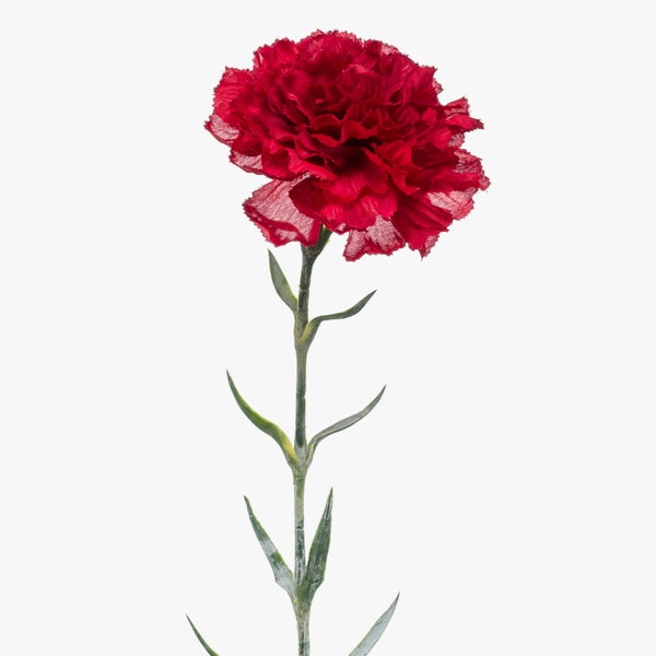 Künstliche Nelke mit roter Blüte und grünem Stiel.