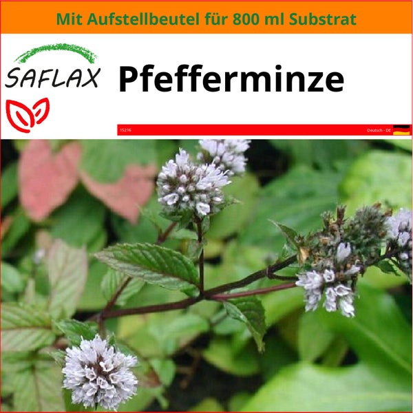 SAFLAX Garden in the bag - Pfefferminze - Mentha piperita - 300 Samen - Mit Anzuchtsubstrat im praktischen, selbst aufstellenden Beutel