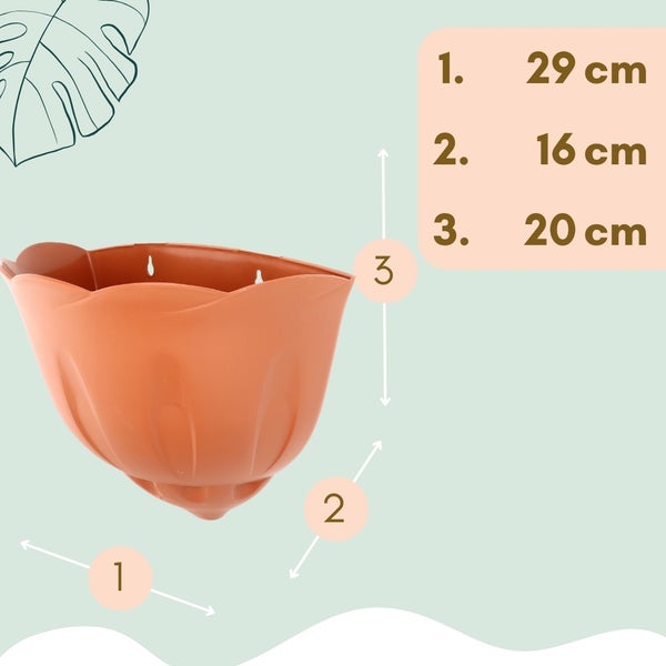Abbildung eines Blumenkastens mit den Maßangaben 29 cm, 16 cm und 20 cm.