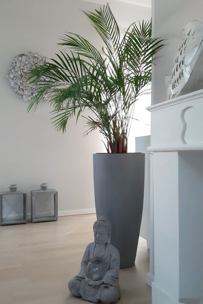 Heller, moderner Innenraum mit einer Palme in einem hohen grauen Pflanzgefäß, einer Buddha-Statue und zwei Laternen auf hellem Holzboden.