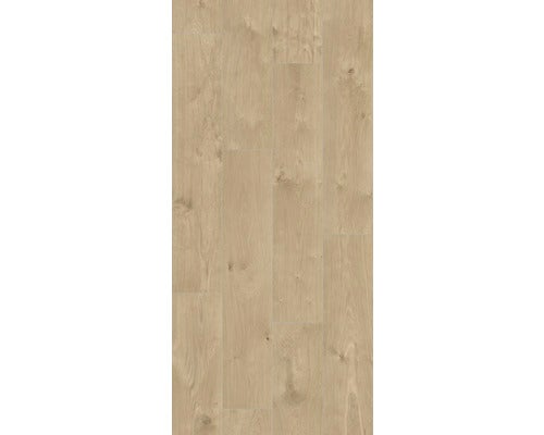Illustration eines Holzstücks mit Astlöchern und Maserung
