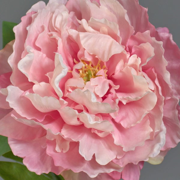Künstliche Pfingstrose, Detailaufnahme der Blüte mit gerafften Blütenblättern in Rosa und Weiß.