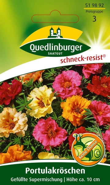 Samentüte für Portulakröschen, Gefüllte Supermischung, schneck-resistent, Wuchshöhe circa 10 Zentimeter, Quedlinburger Saatgut Logo.