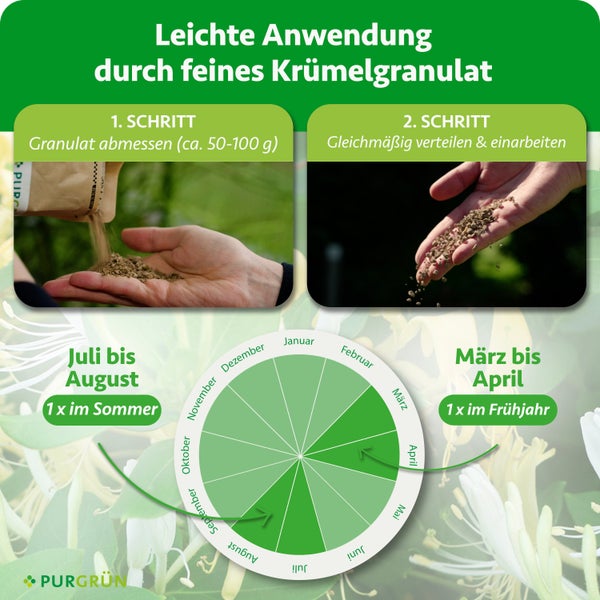 Düngeranwendung: Granulat abmessen circa 50 bis 100 Gramm und verteilen. Anwendung im März bis April und Juli bis August. Purgrün Logo.