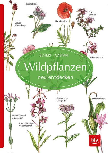 Wildpflanzen neu entdecken BLV Naturführer