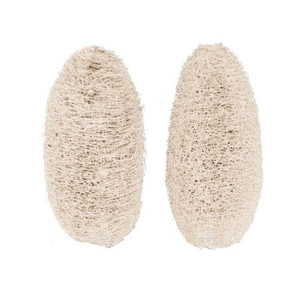 Zwei Naturschwämme aus Luffa