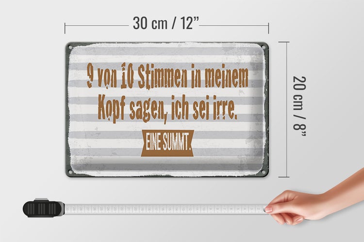 Blechschild Spruch 30x20cm 9 von 10 Stimmen in meinem Kopf