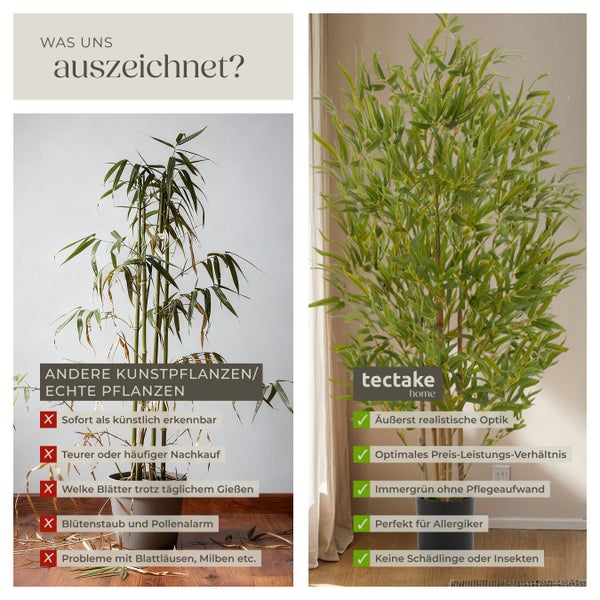 Vergleich von künstlichen und echten Pflanzen mit Fokus auf Vorteile der künstlichen Variante von tectake