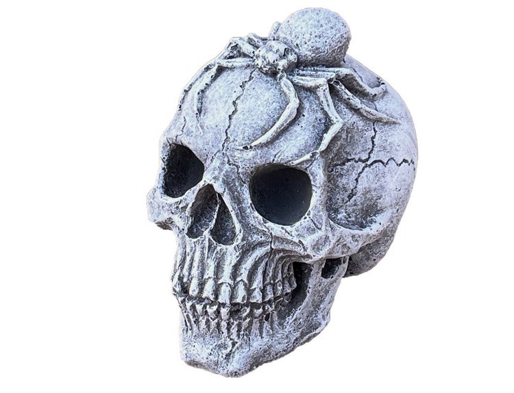 Dekorativer Totenkopf aus Steinguss mit einer Spinne auf dem Kopf, geeignet für die Garten- und Halloween-Dekoration.
