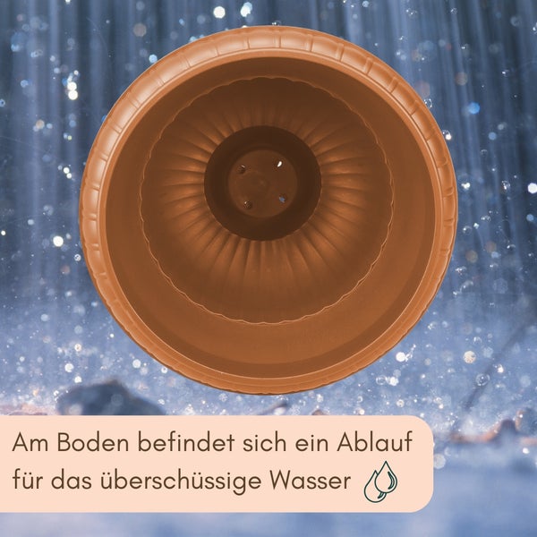 Innenansicht eines runden Pflanztopfes mit Ablauflöchern am Boden für überschüssiges Wasser.