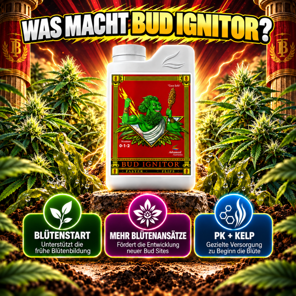 Flasche mit Bud Ignitor Pflanzennährstoff zur Förderung der frühen Blütenbildung von Advanced Nutrients zwischen Cannabis Pflanzen.