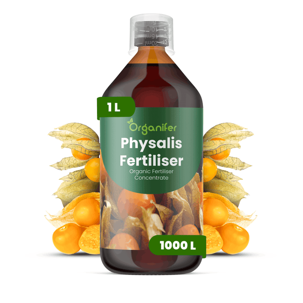 Organifer Physalis Dünger, organisches Düngerkonzentrat, 1 Liter Flasche mit Messkappe.