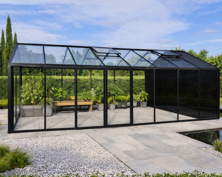 Modernes Gewächshaus mit schwarzem Rahmen, Glaswänden und Dachfenstern auf einer Steinterrasse im Garten, im Inneren mit Pflanzen bestückt.