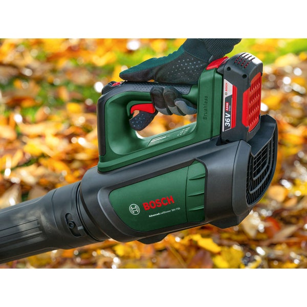 Bosch Laubbläser mit Akku und Handschuhen