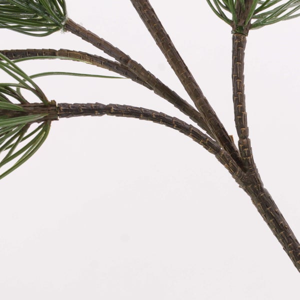 Nahaufnahme einer Strelitzie, auch Paradiesvogelblume genannt, mit orangefarbenen und violetten Blütenblättern an einem grünen Stiel.