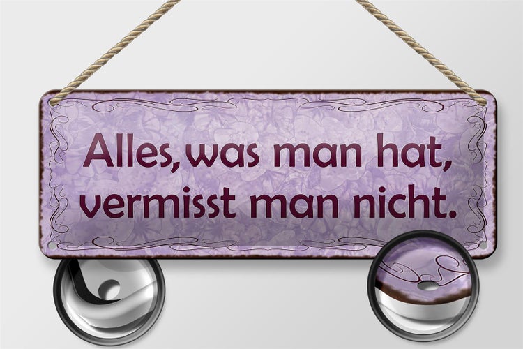 Blechschild Spruch 27x10cm alles was man hat vermisst nicht Dekoration