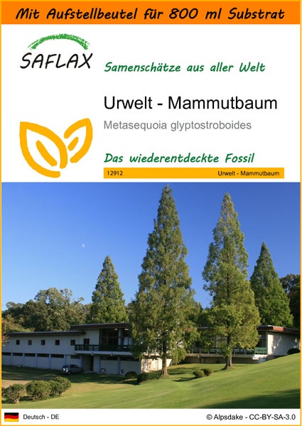 SAFLAX Garden in the bag - Urwelt - Mammutbaum - Metasequoia glyptostroboides - 60 Samen - Mit Anzuchtsubstrat im praktischen, selbst aufstellenden Beutel