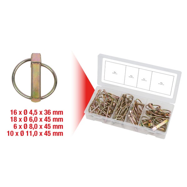 Sortiment von Vorsteckstiften in einer transparenten Kunststoffbox