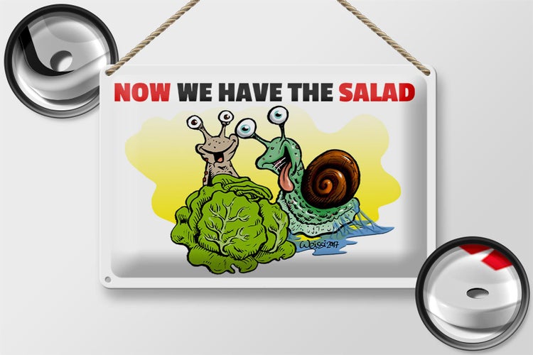 Blechschild Spruch 30x20cm Now we have the salad Schnecken