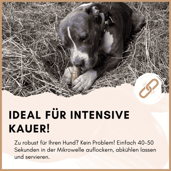 Hund kaut auf einem robusten Kausnack im Stroh, geeignet für intensive Kauer, mikrowellengeeignet für leichtere Konsistenz.