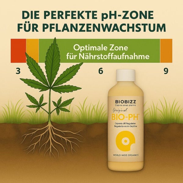 Infografik zum pH-Wert für optimales Pflanzenwachstum mit Biobizz Bio-PH Flasche und Darstellung der Nährstoffaufnahme.