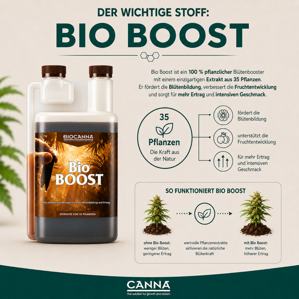 Biocanna Bio Boost Pflanzenstärkungsmittel mit Blütenextrakt zur Ertragssteigerung und Blütenförderung auf einer Infografik dargestellt.