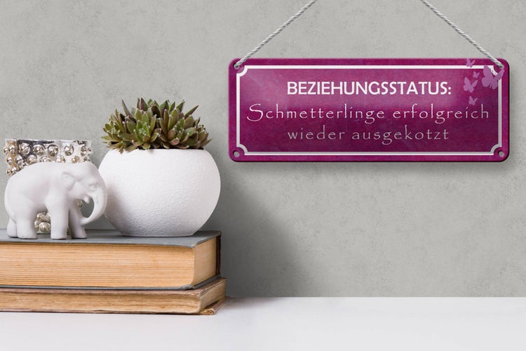 Blechschild Spruch 27x10cm Beziehungsstatus Schmetterlinge Dekoration