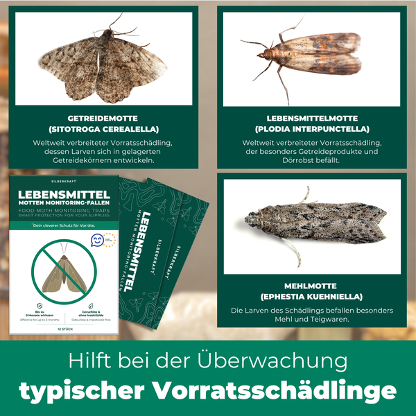 Darstellung verschiedener Arten von Vorratsschädlingen und Lebensmittelmotten Monitoring-Fallen von Silberkraft.