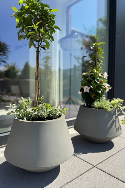 Zwei moderne graue Pflanztöpfe in konischer Form auf einer Terrasse, bepflanzt mit einem Stämmchen und Blumen.