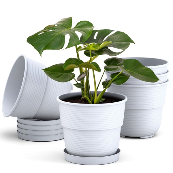 Plastard Blumentopf 5er Set mit Untersetzer Weiß 16 x 13.5 cm Pflanzkübel für Innen und Außen