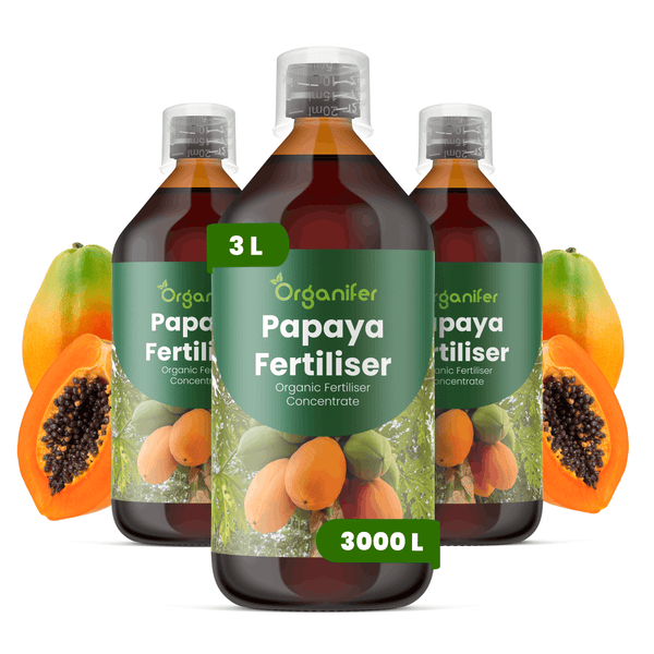 Drei Flaschen Organifer Papaya organischer Dünger Konzentrat, 3 Liter Gesamtmenge, ausreichend für 3000 Liter.
