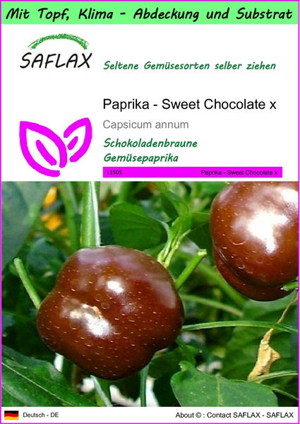 SAFLAX Garden to go - Paprika - Sweet Chocolate x - Capsicum annum - 10 Samen - Mit Topf, Klima - Deckel und Anzuchtsubstrat