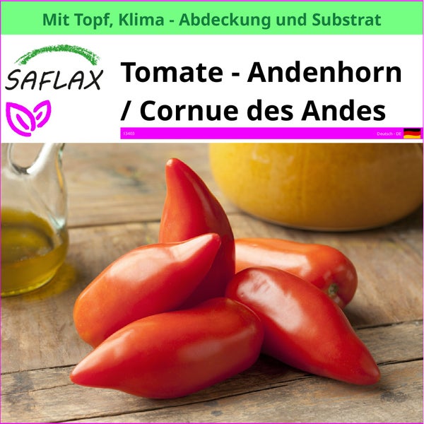 SAFLAX Garden to go - Tomate - Andenhorn / Cornue des Andes - Lycopersicon esculentum - 10 Samen - Mit Topf, Klima - Deckel und Anzuchtsubstrat