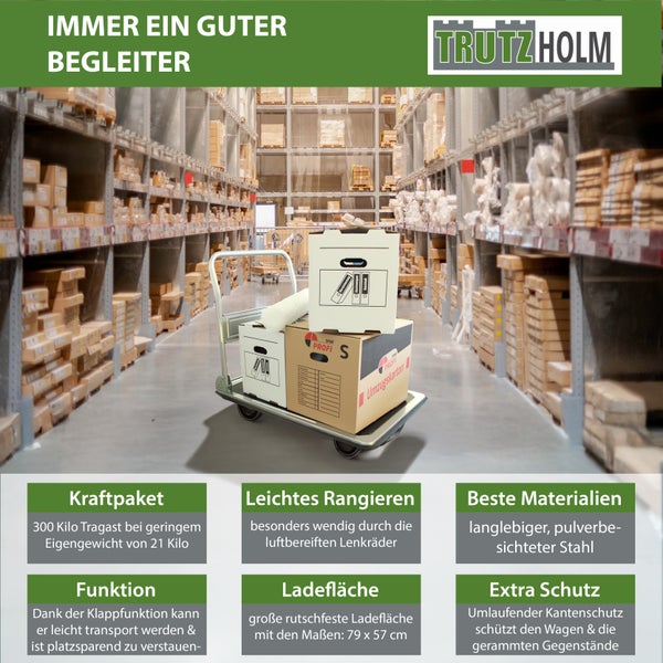 Tragewagen mit Umzugskartons im Lagerhaus mit Trutzholm Logo