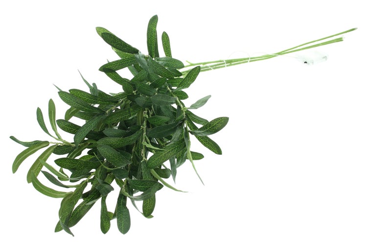 FRANK FLECHTWAREN|LED-Zweige Olive, H: 92 cm,