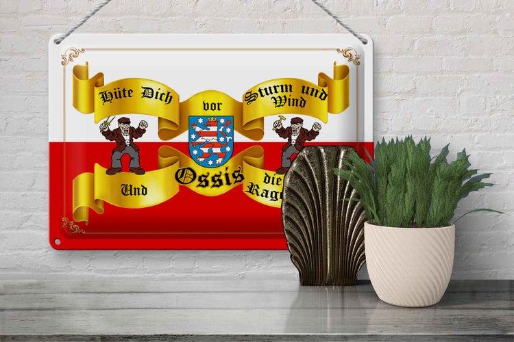 Blechschild Spruch 30x20cm hüte dich vor Sturm Wind Ossis Berlin