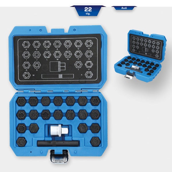 Werkzeugkasten mit Vielzahn-Einsätzen, Verlängerung und Umschaltknarre