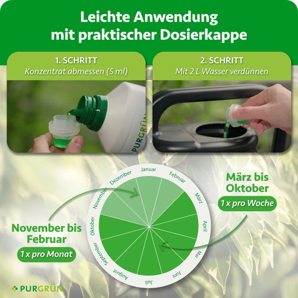 Anleitung zur Anwendung von Purgruen Pflanzenduenger mit Dosierkappe und Anwendungskalender fuer die optimale Dosierung und Haeufigkeit.