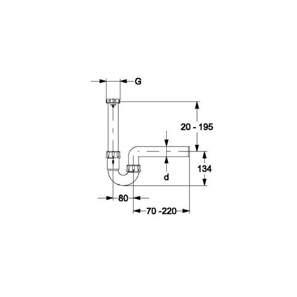 Nahaufnahme eines Kiefernzweigs mit Nadeln und Zapfen