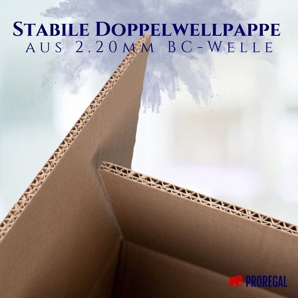 PROREGAL 4x Versandkarton 2-wellig LxBxH 1200 x 600 x 310 mm Belastbar bis 30 kg Faltkarton Karton Paket für Versand mit DHL